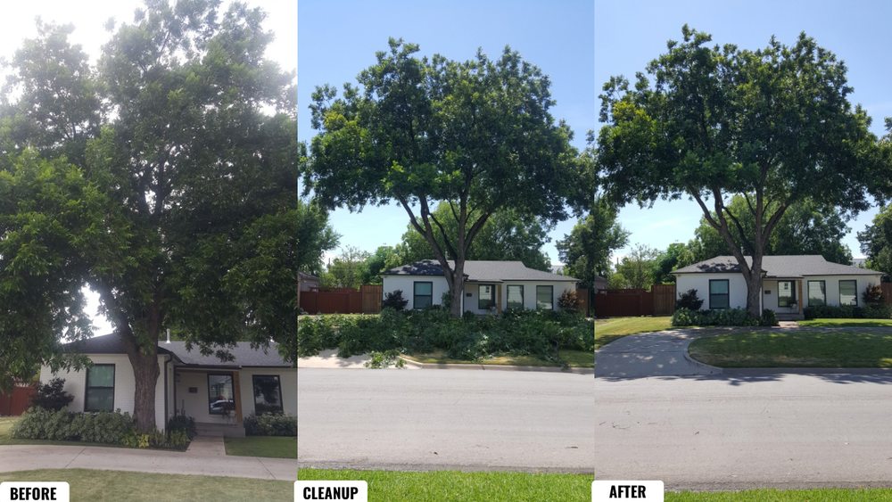 Before-and-after cleanup showing brush and debris hauled off from a residential yard.