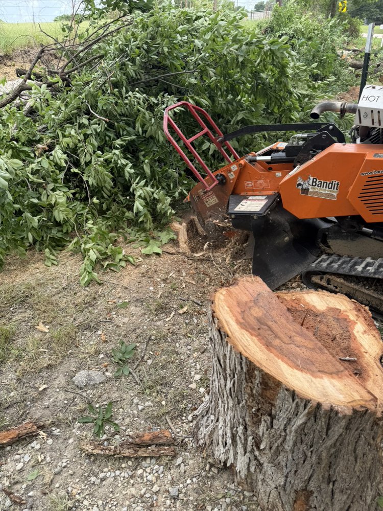 Heavy equipment removing a stump and surrounding wood debris from the site.