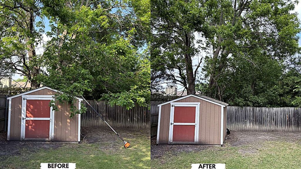 property-line-clearance-trimming-before-after-crystal-clear-ultra-hd