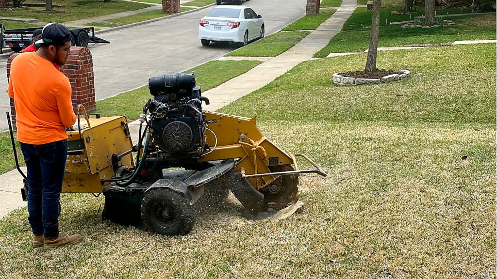 stump-grinding-crystal-clear-ultra-hd