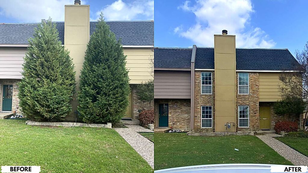 two-shrubs-removed-before-after-crystal-clear-ultra-hd