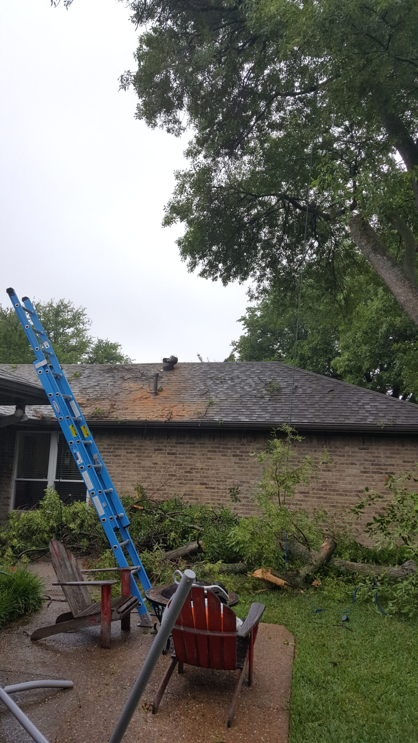 After emergency tree removal project two.