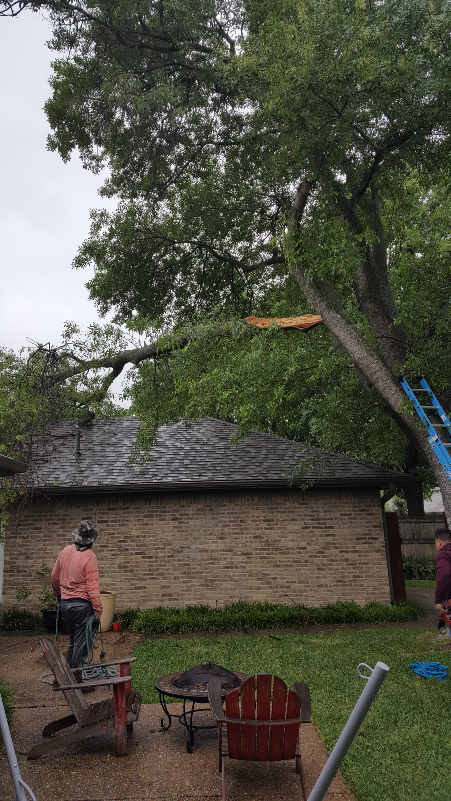 Before emergency tree removal project two.