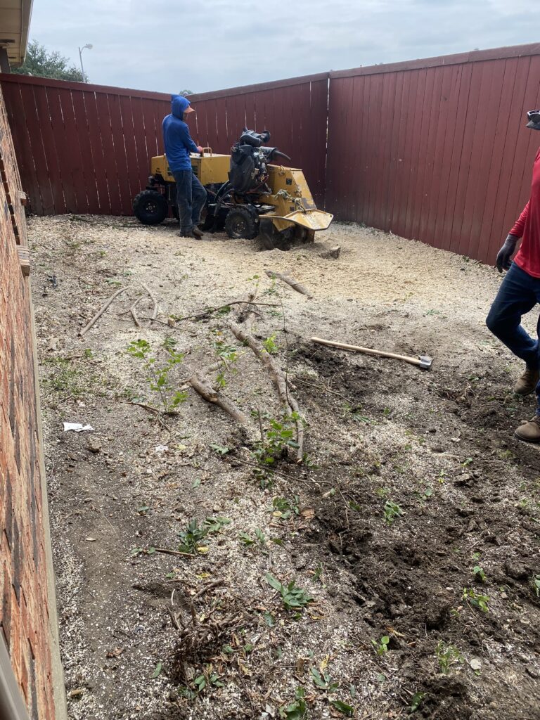Stump & Root Removal