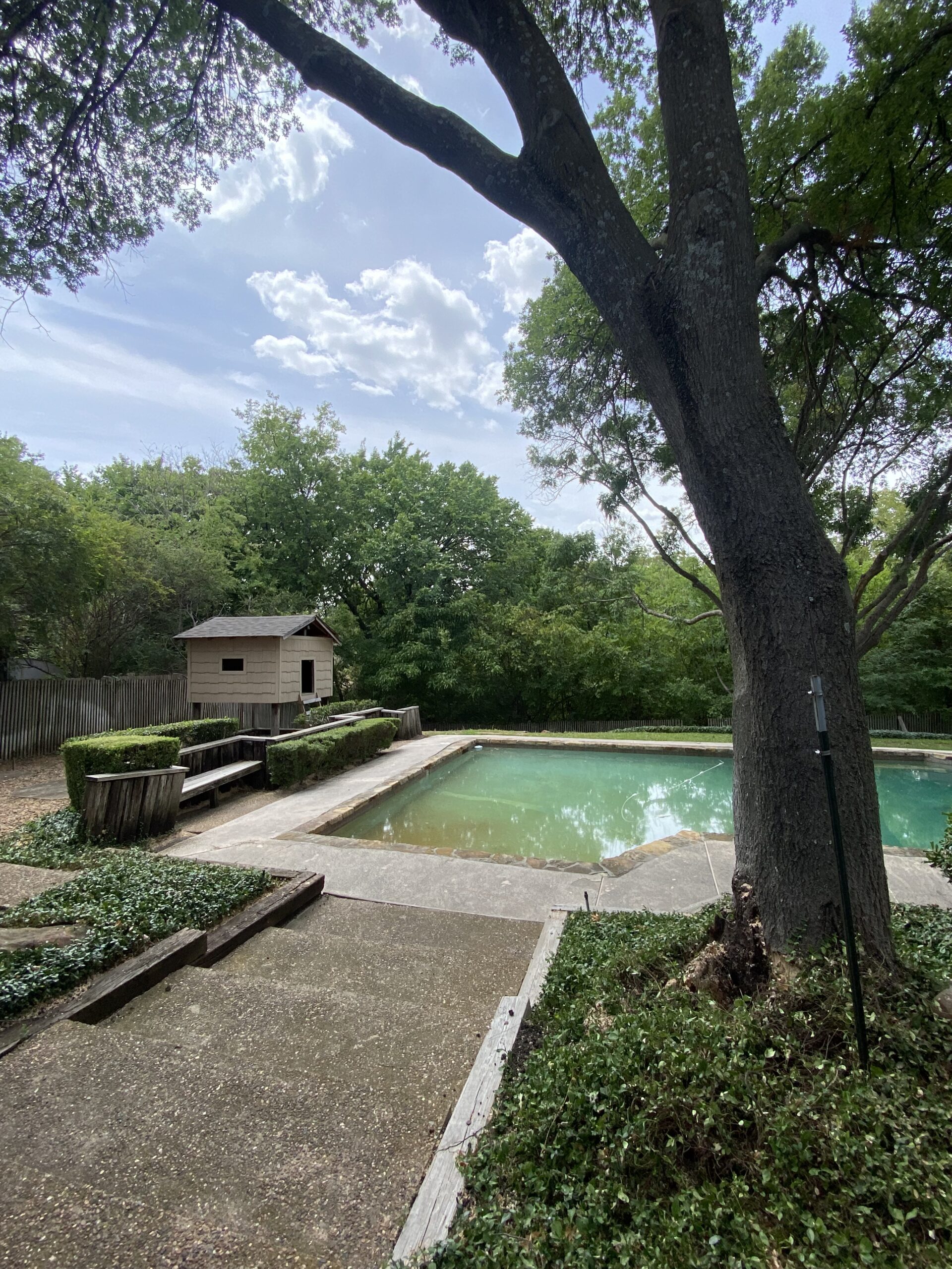 After uprooted hazardous tree removal project