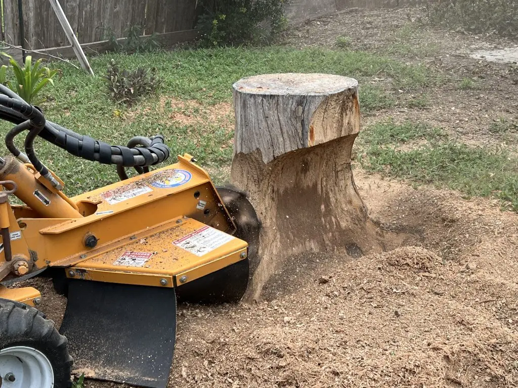 Harvest Tree Service work photo 3: Harvest stump grinding