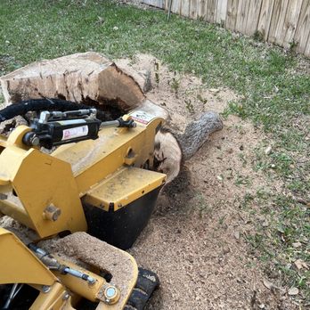 Harvest Tree Service work photo 1: Stump grinding harvest