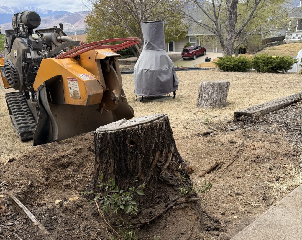 Harvest Tree Service work photo 2: Stump grinding harvest1